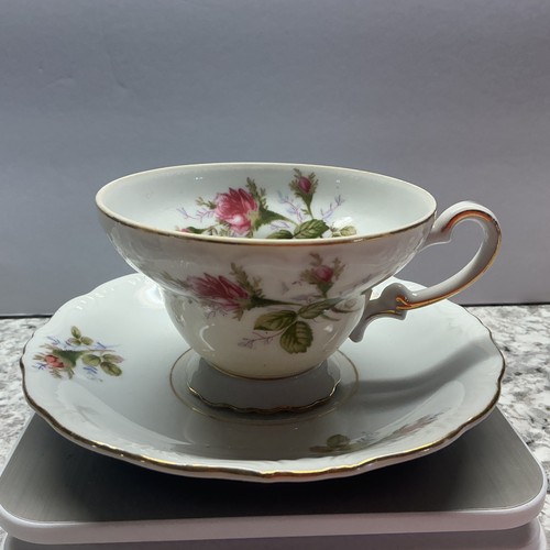 Royal sealy china moss rose - royal,